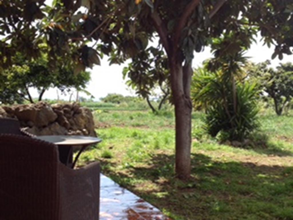 Villa Del Nespolo ฟิวเมเฟรดโด ดิ ชิซิเลีย ภายนอก รูปภาพ
